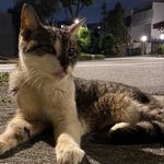 dylan chong - @dylan.ckj - Instagram