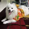 Dylan Chou - @dylan.chou02 - TikTok