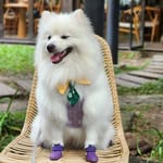 Dylan Chou - @dylan.thechou - Instagram