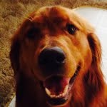 @dylan_christman_72 - Instagram