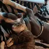 Dylan Christopher Jamison - @dylan.christopher2 - TikTok