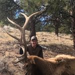 Dylan Clifford - @dylan_clifford01 - Instagram