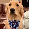 Dylan Coats - @dylancoats2 - TikTok