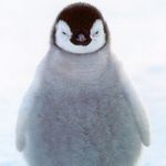 Dylan Colburn - @dylancolburn8 - Instagram