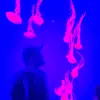 Dylan Collier - @dylanocollier - TikTok
