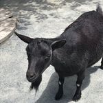 Dylan Conaway - @conaway_dylan - Instagram