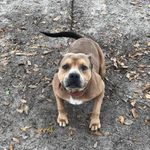 Dylan Conner - @dylan.conner.927 - Instagram