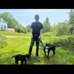 Dylan Conrad - @dylanconrad98 - Instagram