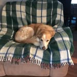 Dylan Coolidge - @coolidge_dylan - Instagram