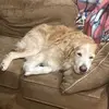 Dylan Coolidge - @dylan.coolidge2 - TikTok