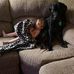 Dylan Coots - Facebook