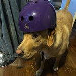 Dylan Cope - @dylan_cope3 - Instagram