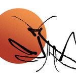 ᴅʏʟᴀɴ ᴄᴏᴘᴇ - @desert_mantis - Instagram