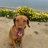Dylan - @dylancosby - TikTok