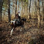 Dylan Couch - @dylsteele2020 - Instagram