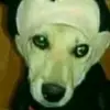 Dylan the villain - @dylancourts33 - TikTok