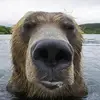 dylanmccourt - @dylanmccourt - TikTok