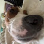 Dylan Courtright - Facebook