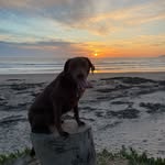 Dylan Cramer - @dylan_cramer2 - Instagram