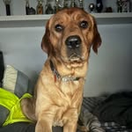 Dylan Cramer - @dylan_cramer1 - Instagram