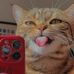 Cengger Telon - Facebook