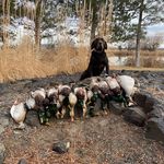 Dylan Crist - @dylancrist41 - Instagram