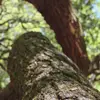dylancrosby - @dylancrosby83 - TikTok