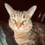 Dylan Crum - @dylan_crum19 - Instagram