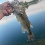Dylan Cruse - @dylan.cruse.568 - Instagram