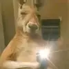 Dylan Cuevas - @dylan.cuevas34 - TikTok