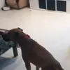 Dylan Cuevas - @dylan.cuevas731 - TikTok