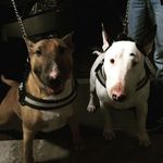 dylan culbertson - @zeus83.2019 - Instagram
