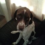 dylan cullen - @dylancullen2003 - Instagram