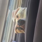 dylandaugherty - @dey_want_dylan - Instagram