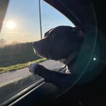 Dylan Decker - @dylan_decker - Instagram