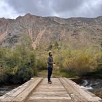 Dylan Demers - @dylanwolfe - Instagram