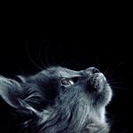 Dylan Dickerson - @dancingdylan56 - Instagram