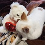 Dylan Donovan - Facebook