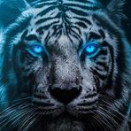 Dylan Downs - Facebook