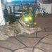 Dylan Draper - Facebook