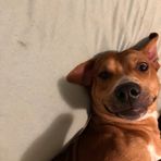 Dylan Drayton - Facebook