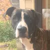 dylandudley576 - @dylandudley576 - TikTok