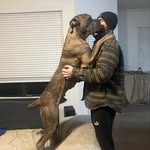 Dylan Elkins - @dylancelkins - Instagram