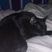Dillon Epperson - Facebook