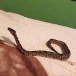 Dylan Erwin - @dylan.erwin.167 - Instagram