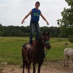 Dylan Erwin - @dylan.erwin.31 - Instagram