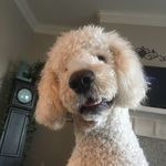 Dylanerwin - @dylan__erwin - Instagram