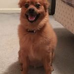 Dylan Fallows - @fallowsdylan - Instagram