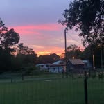 Dylan Fitzgerald - @dylanfitzgerald34 - Instagram