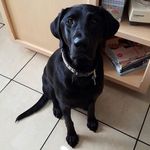 Dylan Fitzpatrick - @dylan.fitzpatrick.965 - Instagram